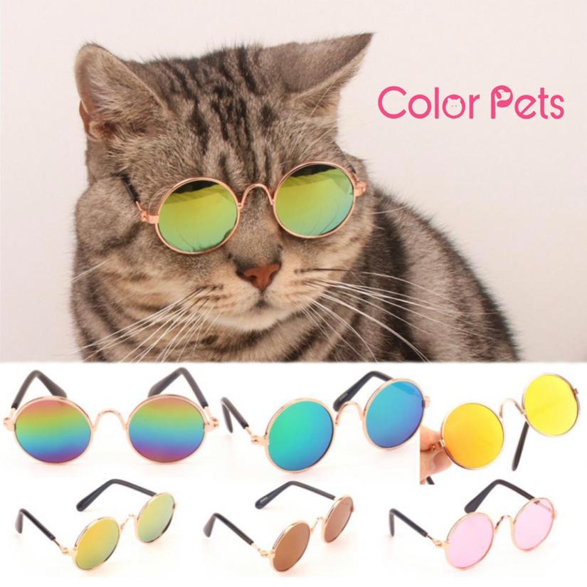 Gafas mini gato