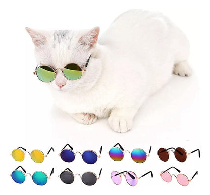 Gafas mini gato