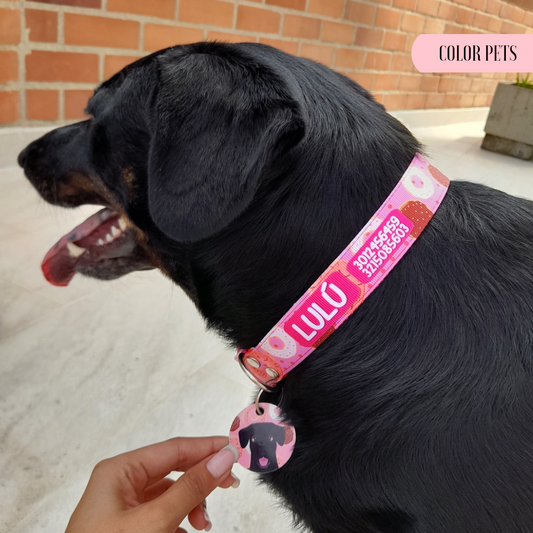 Collar de identificación para perro